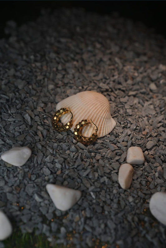 Stainless Steal Golden EARRINGS