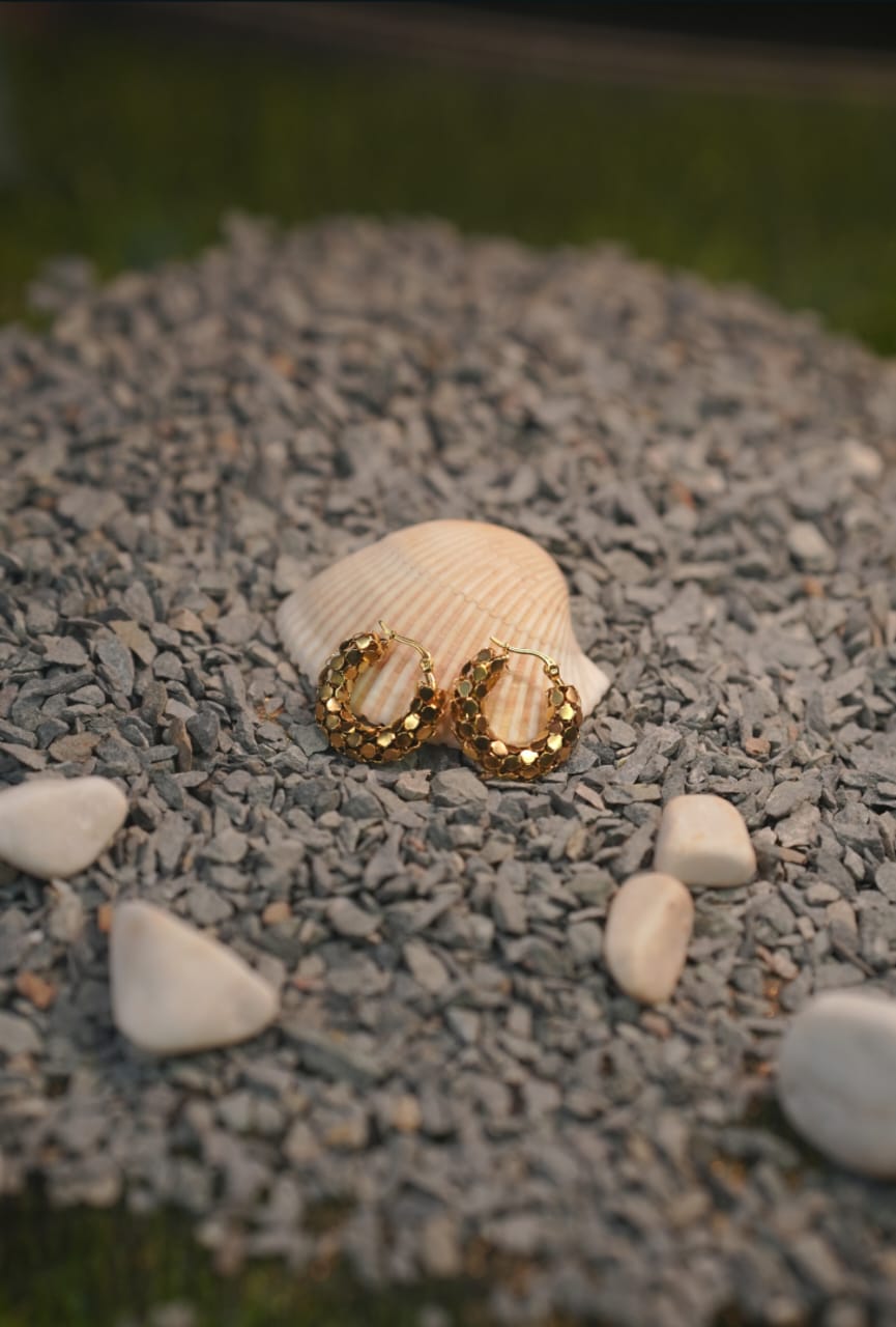 Stainless Steal Golden EARRINGS