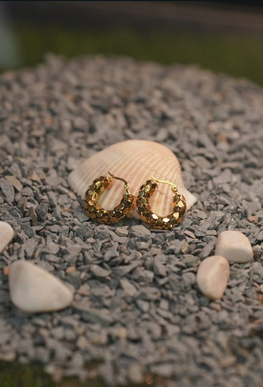 Stainless Steal Golden EARRINGS